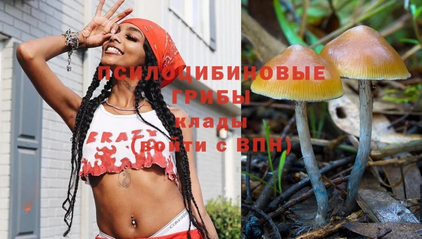 не бодяженный Абаза